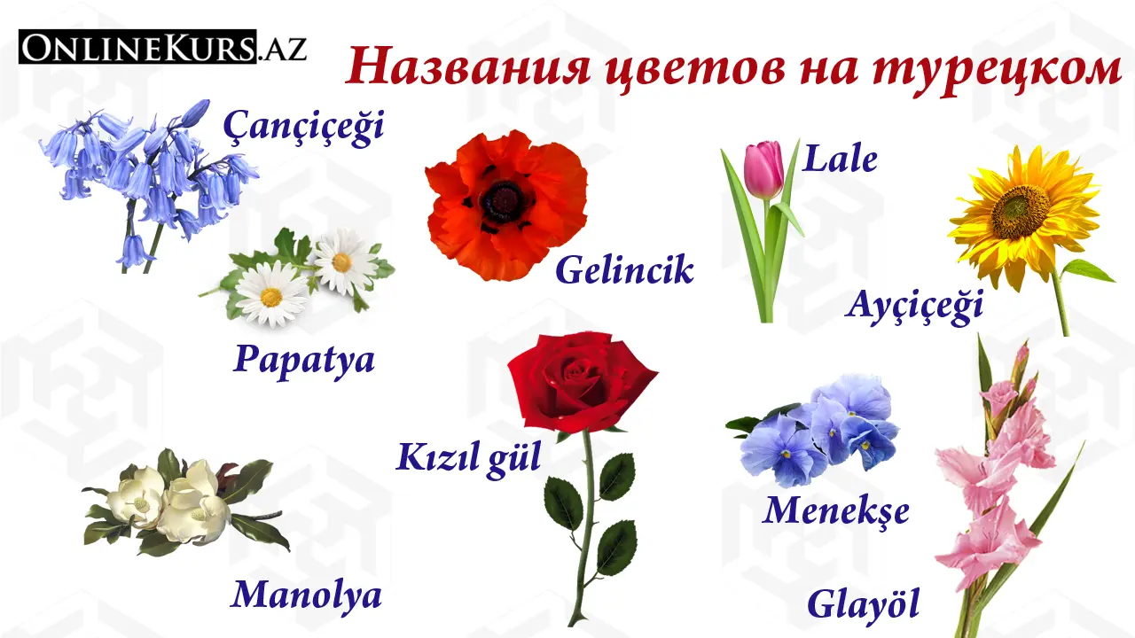 Цветы по турецки