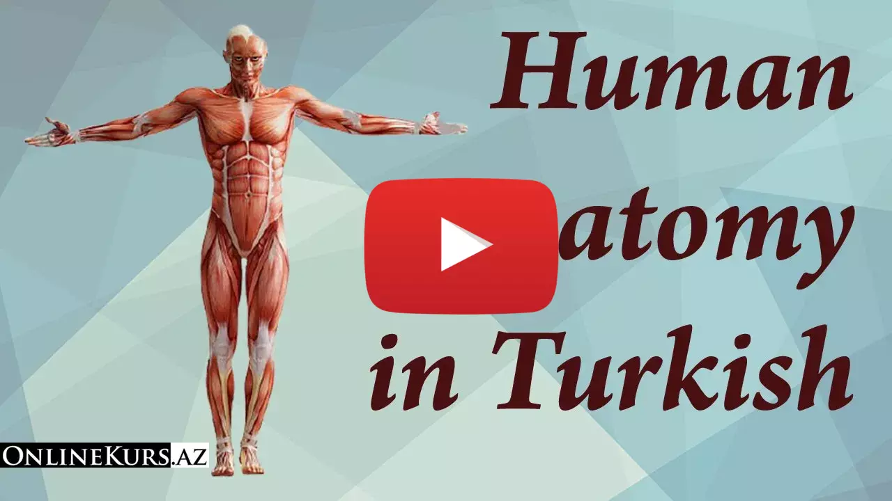 Human anatomy in Turkish