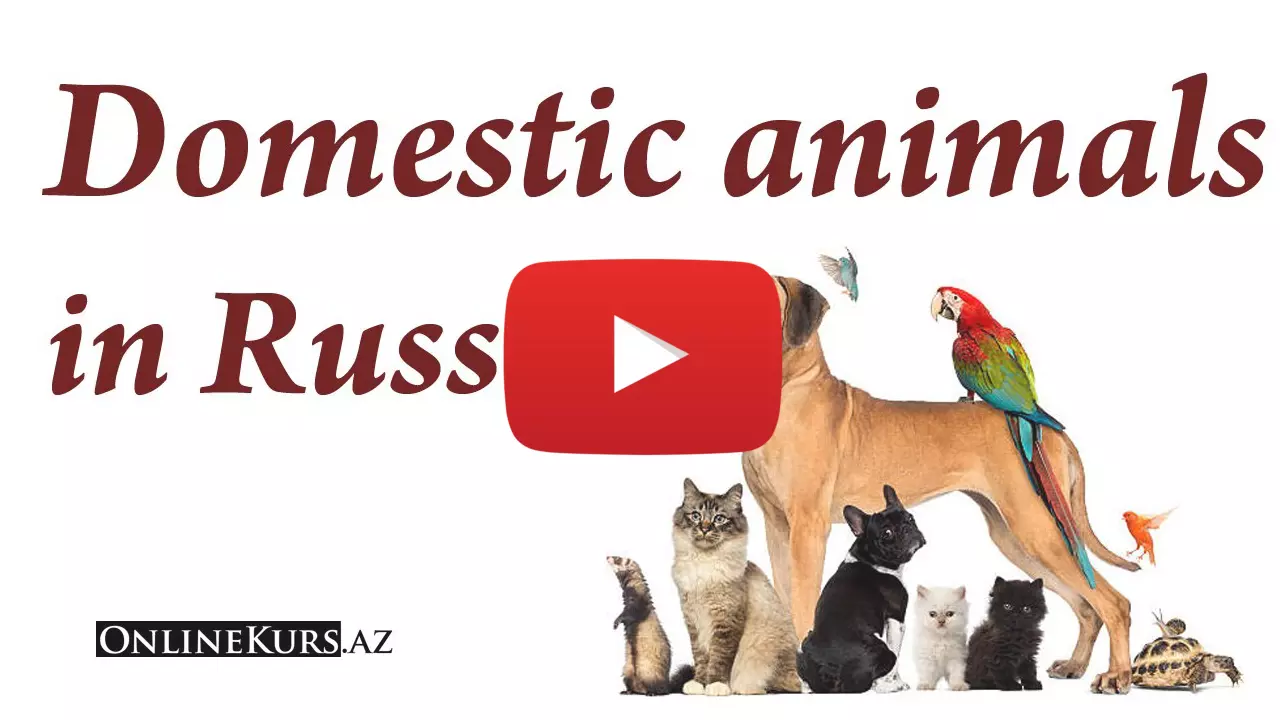 Farm animals in Russian